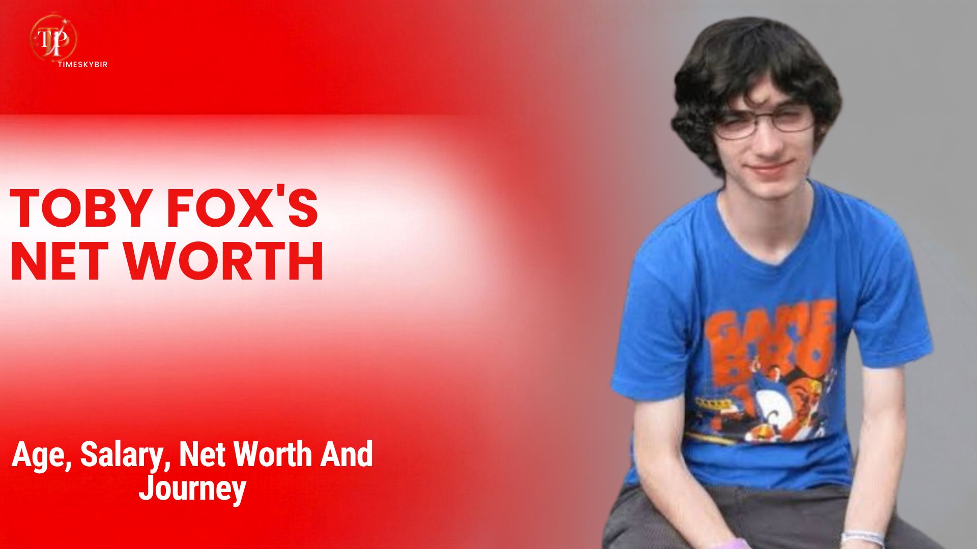 Toby Fox's Net Worth